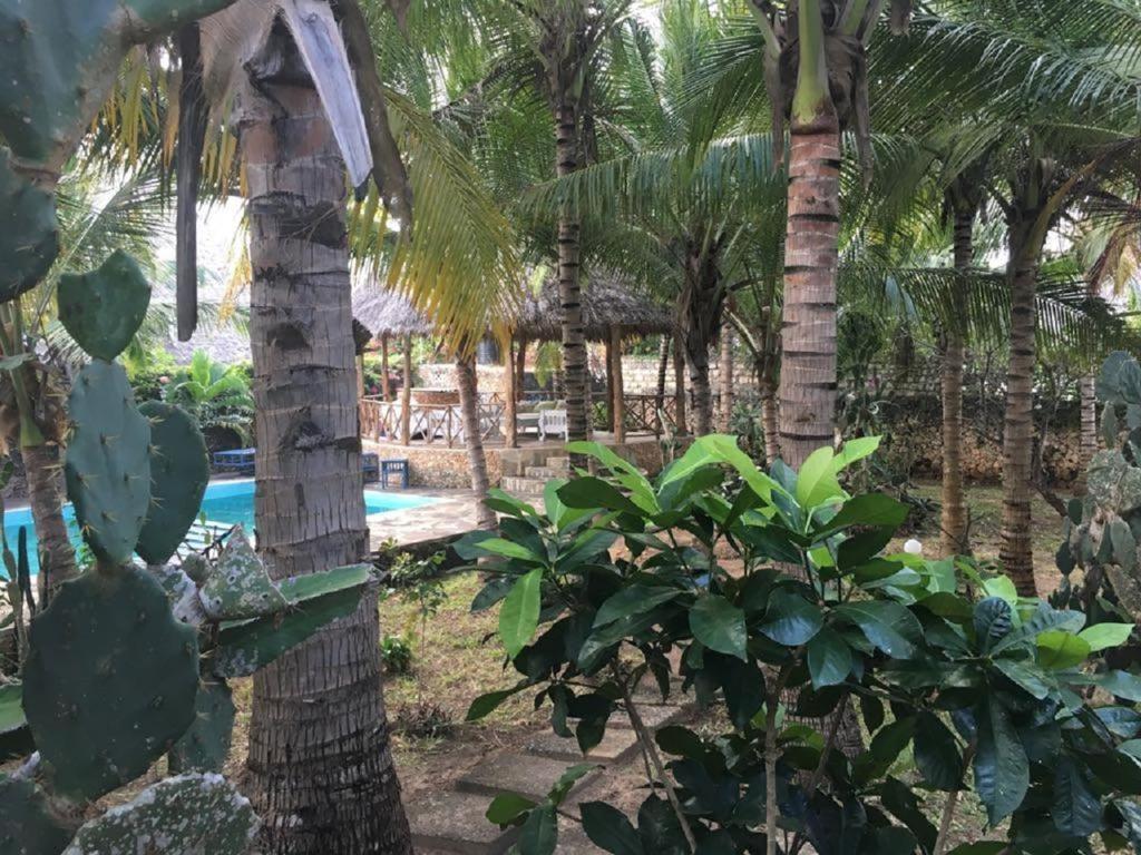 Giulia Patio House Watamu Hotel Exterior photo
